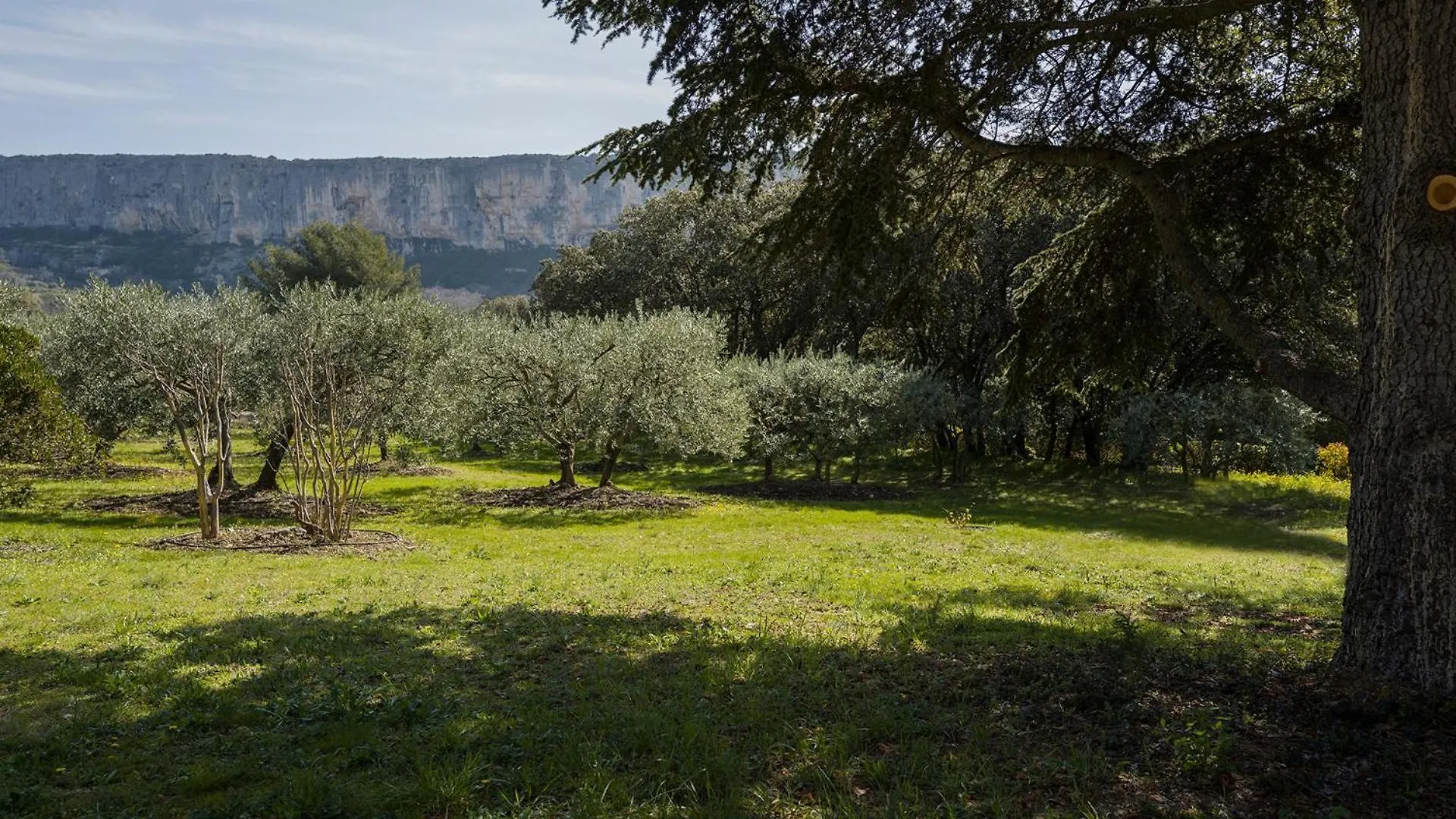 Les Cistes Villa Lioux France